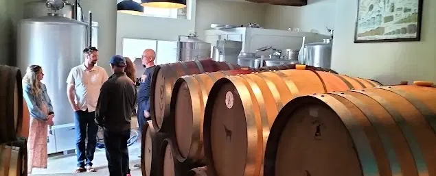 Day Trip from Porto to Douro Valley: Visit two small wineries & enjoy homemade lunch with winemaker.