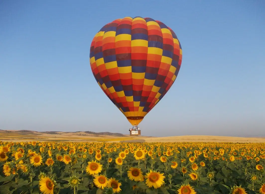 Floating Over Vega de Carmona