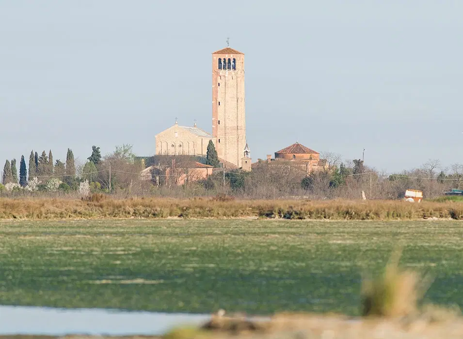 Boat Tour from Burano near Venice: A leisurely ride through rich flora & fauna of Venetian Lagoon.