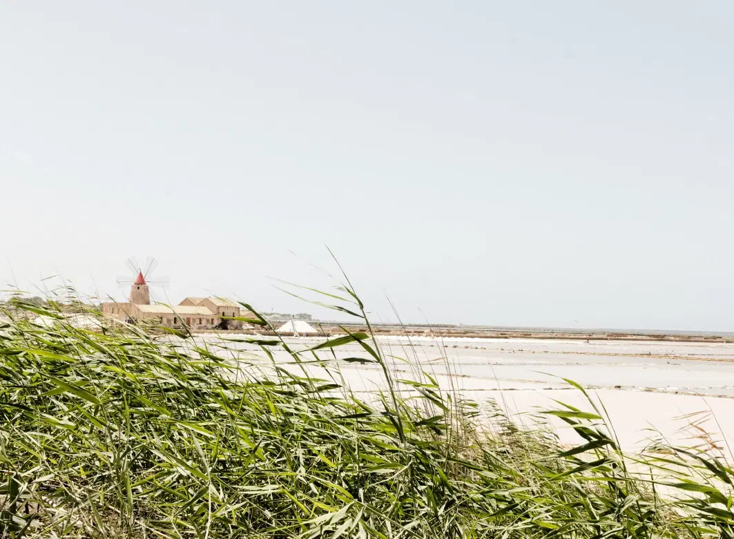 Day Trip in Marsala, Sicily, exploring the celebrated Marsala wine tradition and ancient salt pans.