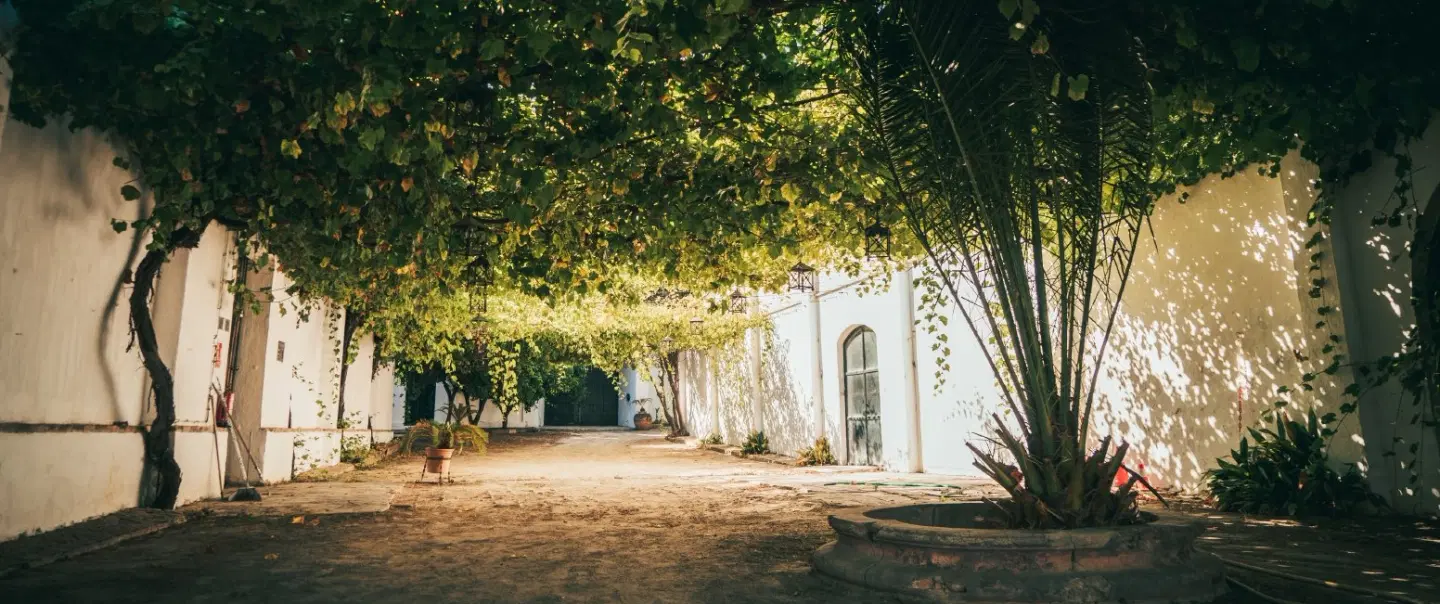 Untold Cádiz: Sherry, Legacy, Doñana