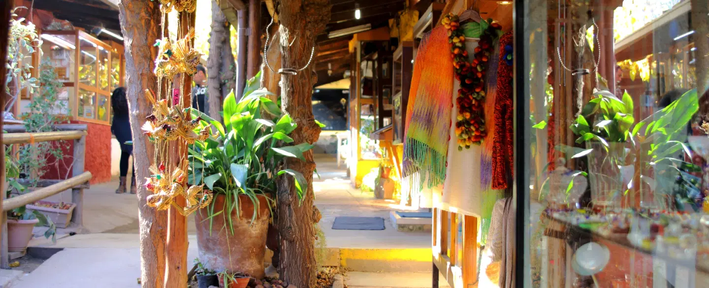 Artisan Market Tour of Los Dominicos Craft Village in Santiago de Chile and a mindful, gentle hike. 