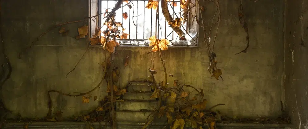 Walking Tour in Paris at Père Lachaise Cemetery tracing history, art, memory, and the Paris Commune.