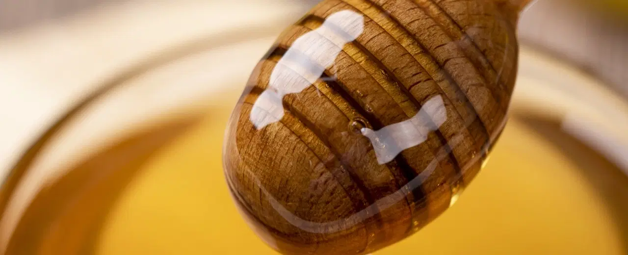 Farm Experience in Argolida from Nafplio, with beekeeper visit and organic honey tasting.