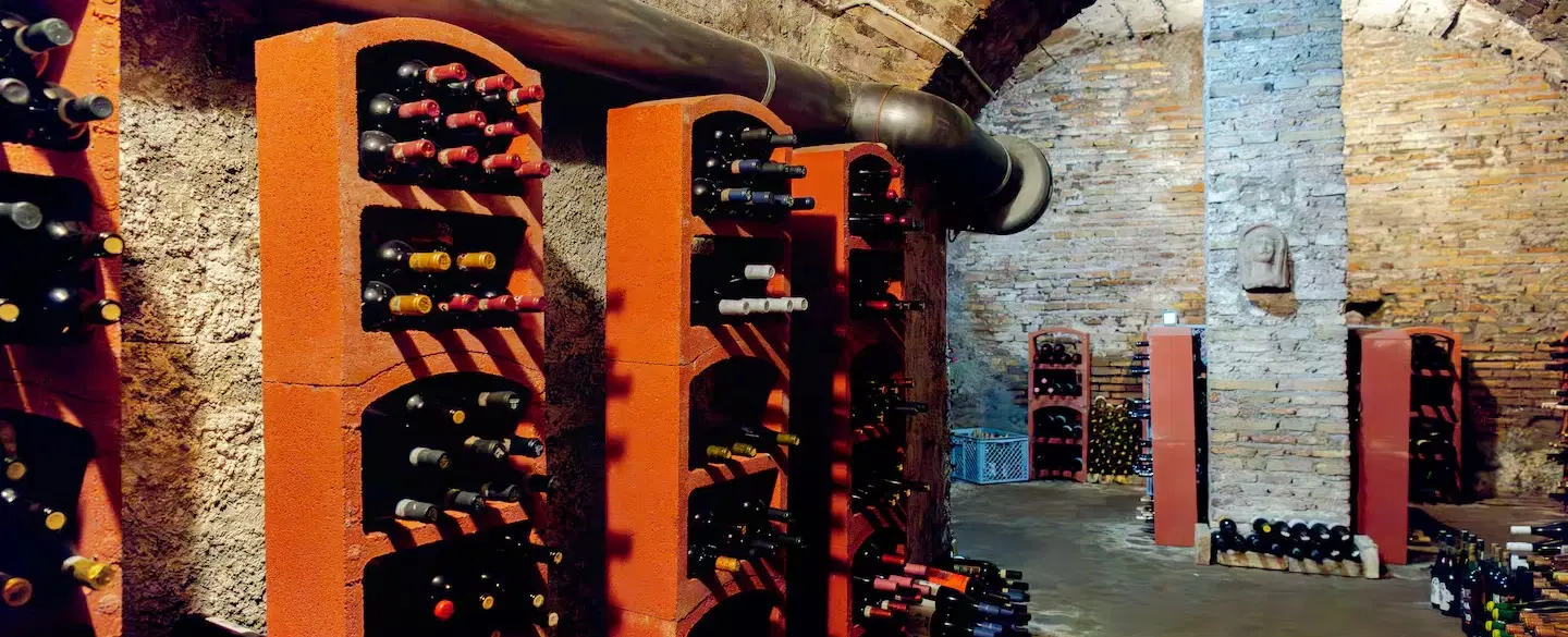 Wine Tasting in Rome with a sommelier discovering Lazio wines and native local grape varieties.