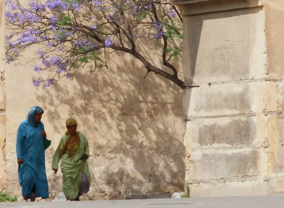 Photo Walk in Fes Medina mastering street photography with expert photographer and culture keeper.