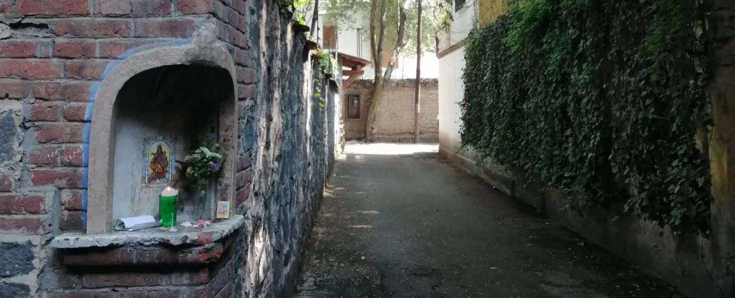 Coyoacán Cultural Walking Tour in Mexico City with artist guide, local history, artist studio visit.
