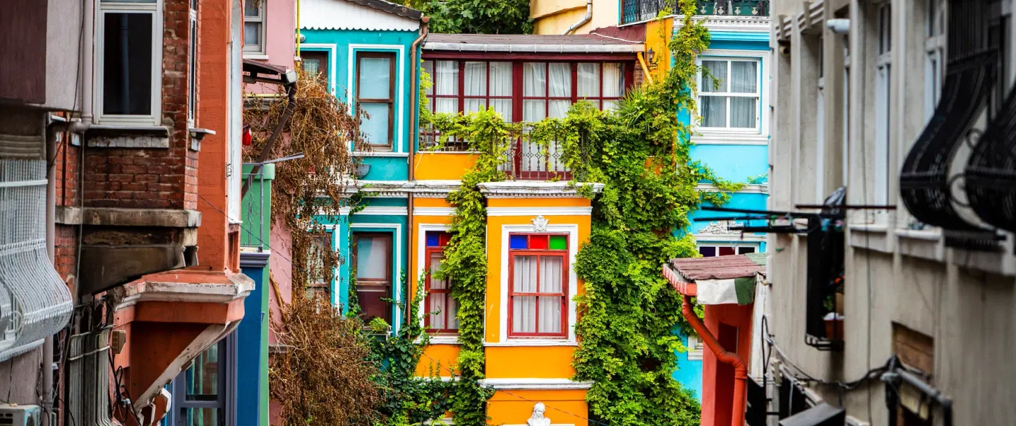 Walking Tour of Fener-Balat, Istanbul with ferry ride, art studios, heritage sites, and food stops.