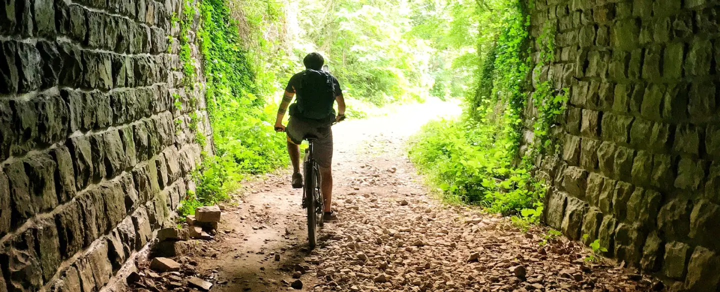 E-Bike Ride from Motovun, Istria, along the Parenzana trail with village stops and wine tasting.