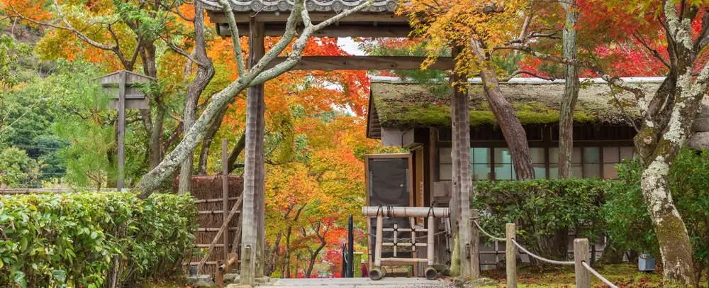 Cultural Tour in Kyoto’s Arashiyama exploring folk sculpture, moss temples, traditional craft shops.