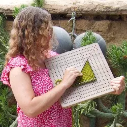 Stories from the Loom 