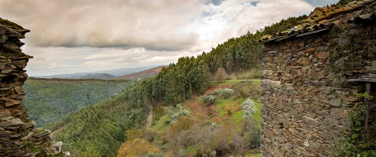 Day Trip from Lisbon or Porto to discover schist villages, mountain life, food & tradition in Lousã.