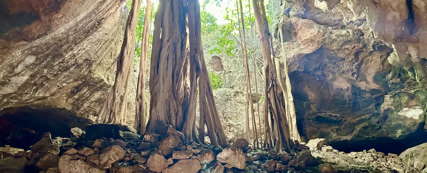 Labyrinth, Cave, Cenote