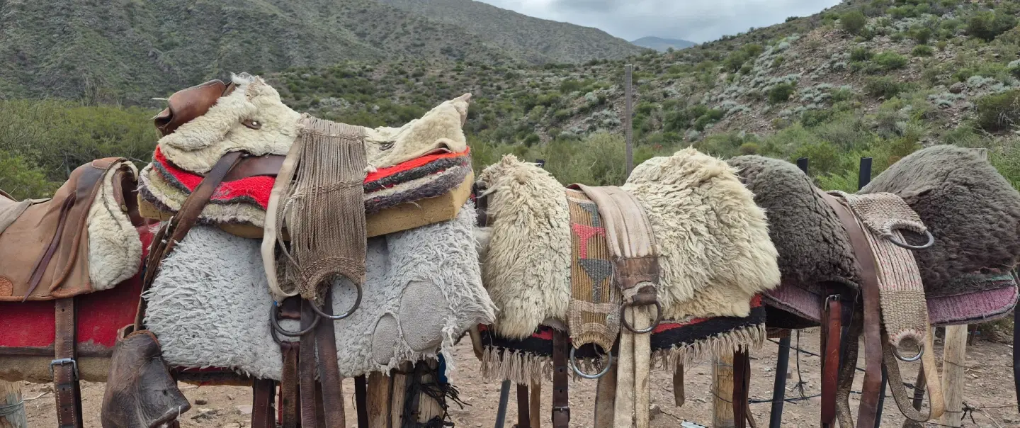 Gaucho Ride into Andes Sunset