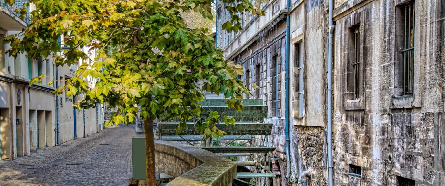 Provence Day Trip exploring L’Isle-sur-la-Sorgue antique markets & UNESCO Avignon, Palais des Papes.