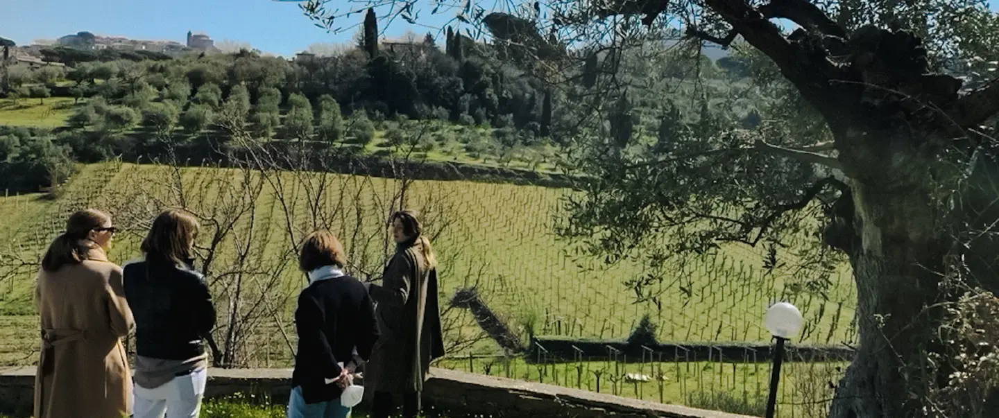 Wine Tasting from Rome with visit to a family-run low-intervention winery and countryside lunch.