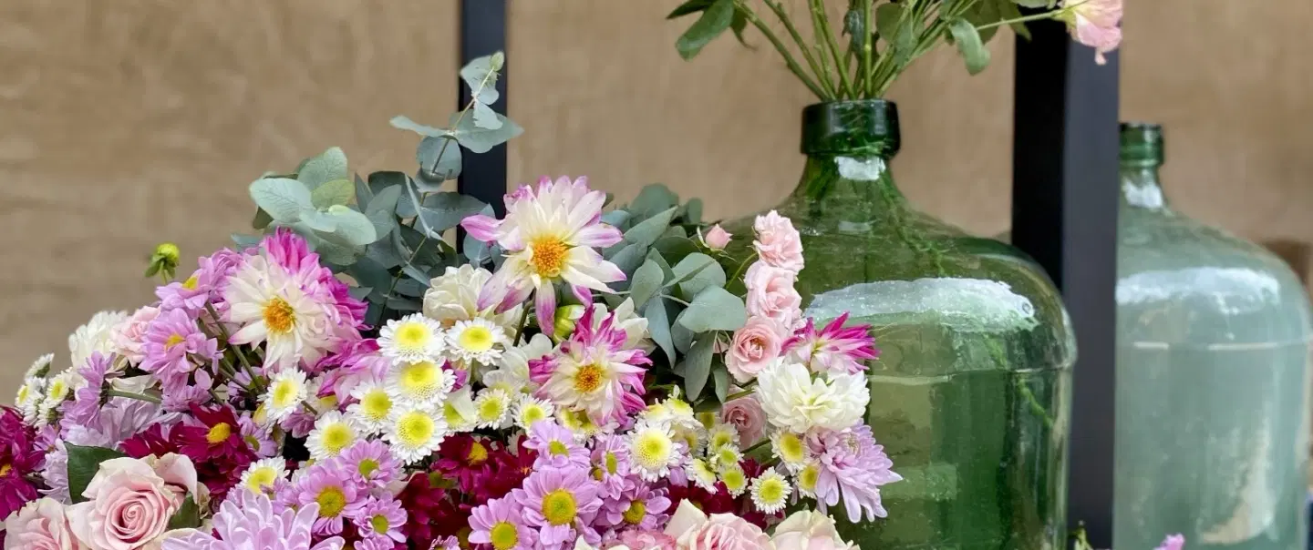 Walking Tour in Mexico City through San Ángel’s flower markets, colonial churches and hidden plazas.
