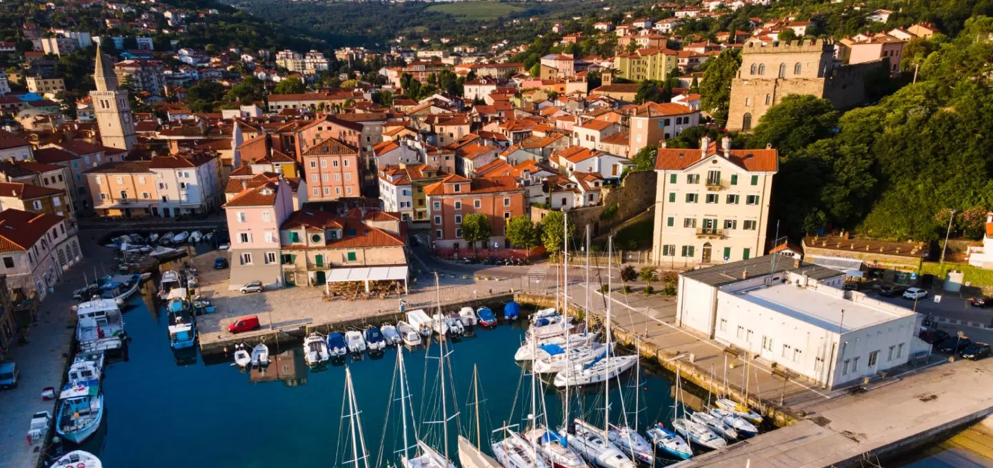 Boat and E-Bike Tour from Trieste to Muggia, exploring historic architecture and a scenic vineyard.