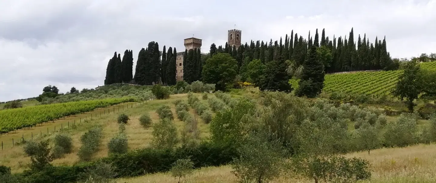 Hiking Tour in Chianti from Florence through abbey paths and vineyards in the Tuscan rolling hills.