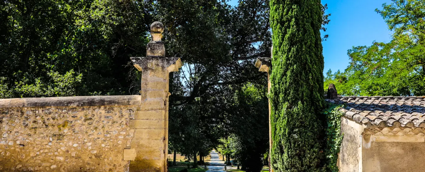 Day Trip in Provence visiting Aix-en-Provence market, wine estates, tastings, and contemporary art.