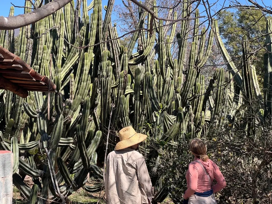 Day Tour from Guadalajara to Jalisco’s Sierra: coffee farm, Pueblo Mágico, artisans, Enigma Valleys.