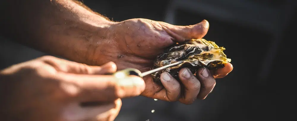Boat Tour in Costa del Sol near Málaga with open-sea tasting of underwater-aged wine, oysters, EVOO.