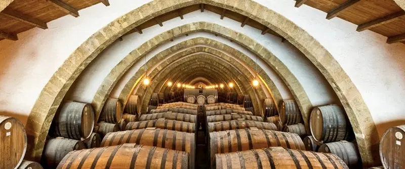 Day Trip in Marsala, Sicily, exploring the celebrated Marsala wine tradition and ancient salt pans.