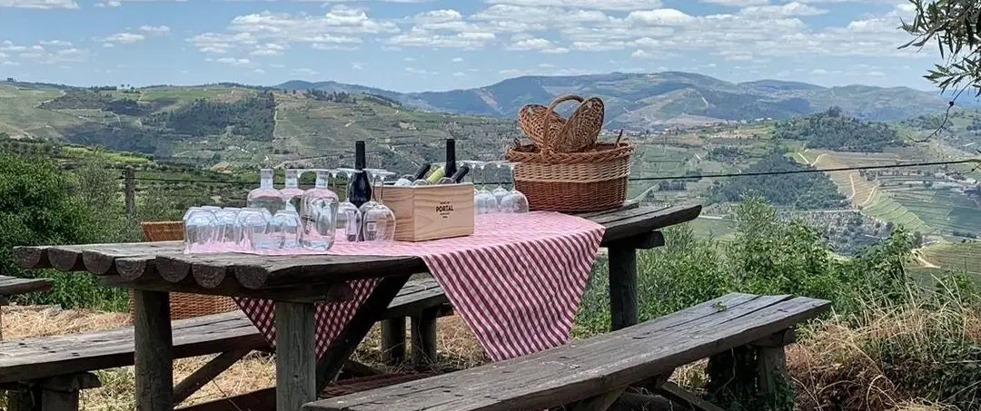 Day Trip in Douro Valley: river cruise, vintage van ride, wine & gin tastings, picnic in the estate.