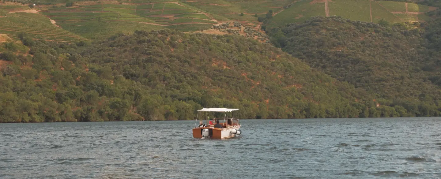 Day Trip from Porto to visit Douro Valley vineyard, enjoy gourmet meal and explore Amarante.