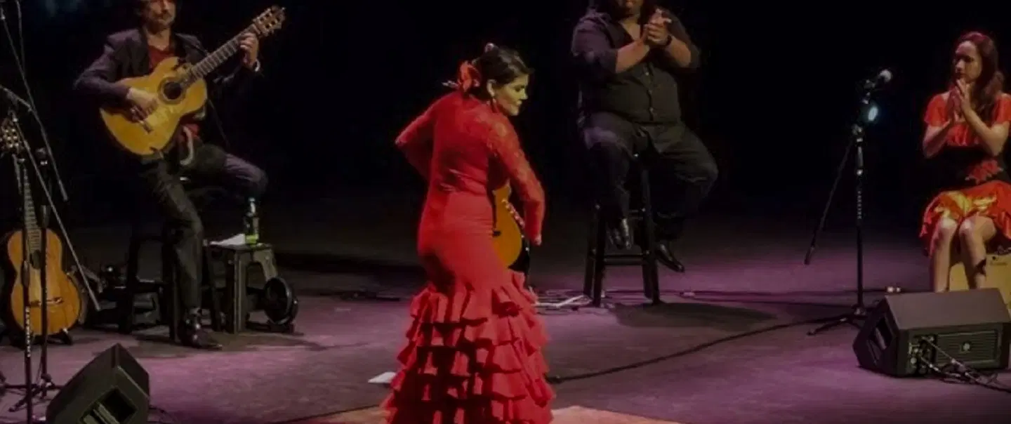 Sacromonte Flamenco Tour in Granada: Roma caves, Alhambra views, Cave Museum, flamenco performance.