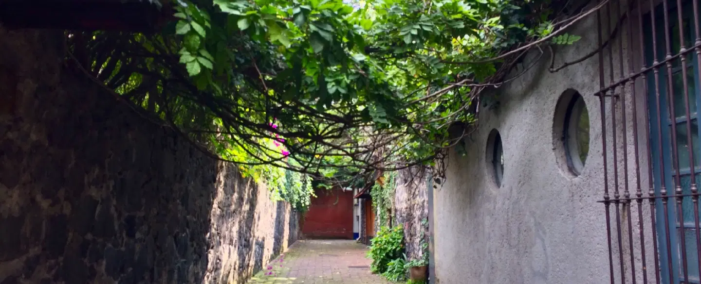 Coyoacán Cultural Walking Tour in Mexico City with artist guide, local history, artist studio visit.