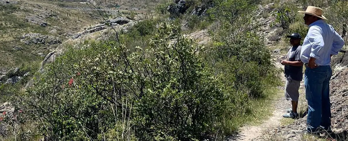 Hiking Tour from Oaxaca to UNESCO Zapotec caves with ancient corn history and local tlayuda lunch.