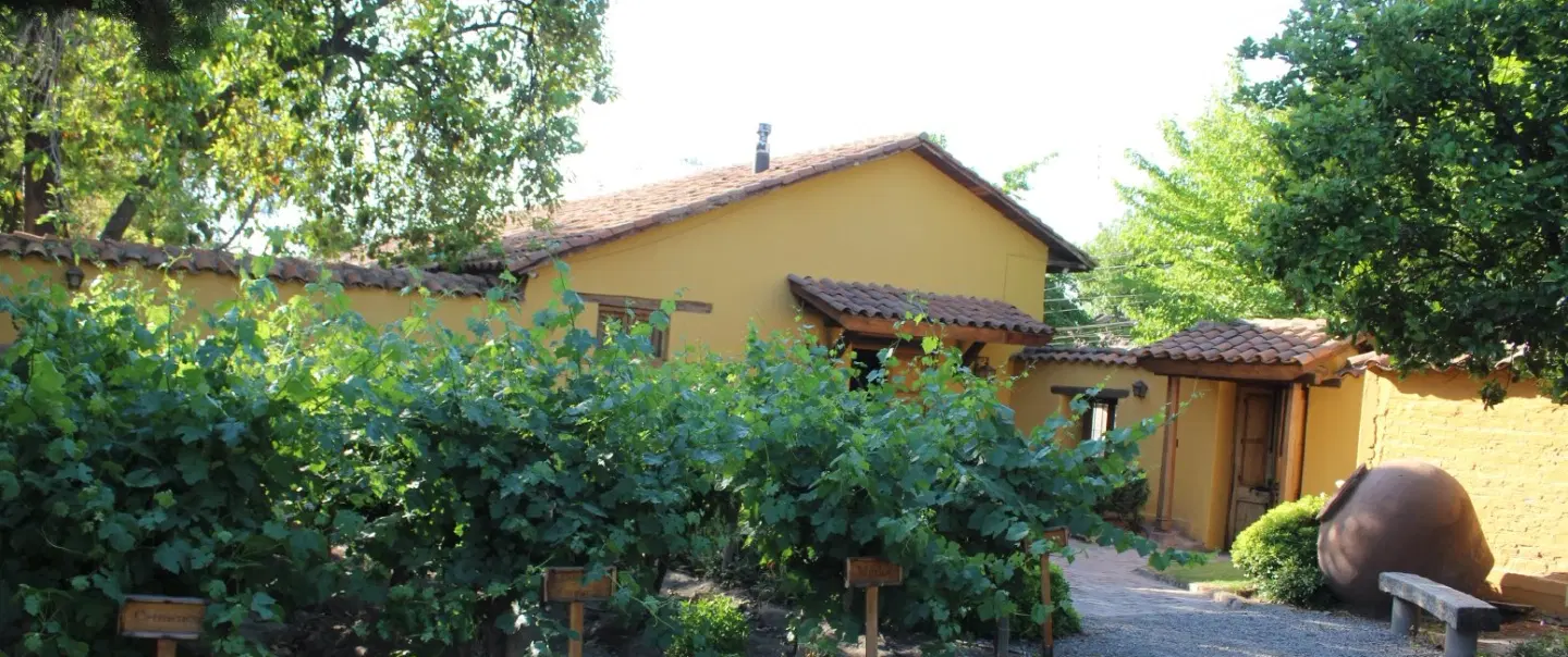 Wine Tasting Day Trip from Santiago with Alpaca Farm Visit and Heritage in Chile’s Aconcagua Valley.