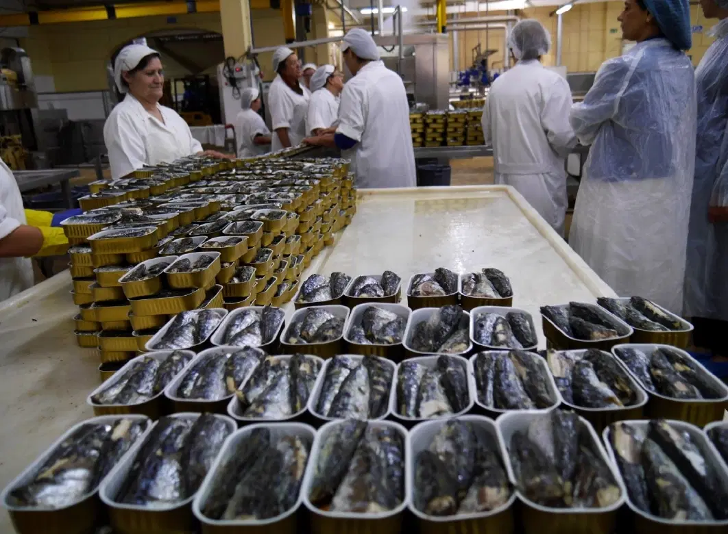 Fishing Tour day trip from Porto with fishermen’s return, sardine cannery visit, Matosinhos market.