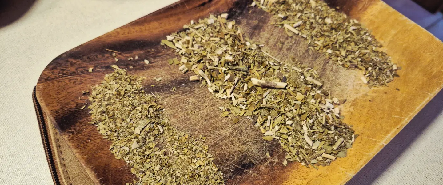 Mate Tasting Experience in Buenos Aires exploring Argentina’s most beloved ritual with a local host.