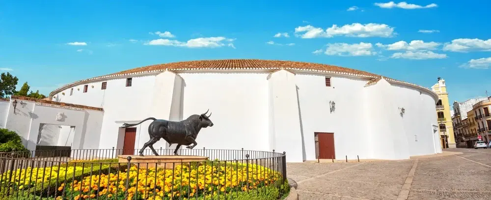 Picasso Tour in Málaga covering his early years, with Birthplace Museum, Picasso Museum and Alcazaba