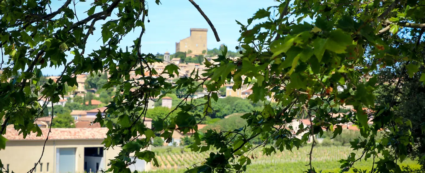 Châteauneuf-du-Pape Wine Tour in Provence near Avignon with estate visits, private tastings & lunch.