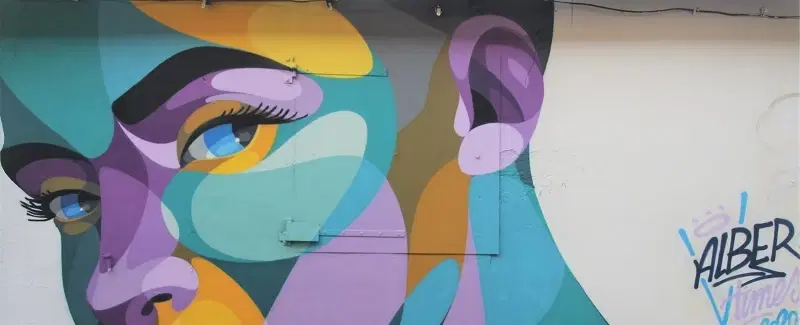 Street Art Walking Tour in Bordeaux exploring murals, graffiti, artists, and social commentary.