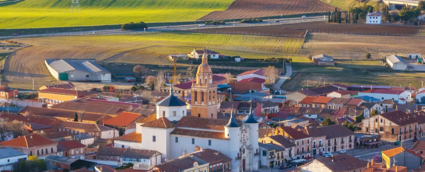 Wine Tour from Madrid to Rueda in Valladolid with vineyard walk, winemaker insights, and lamb lunch.