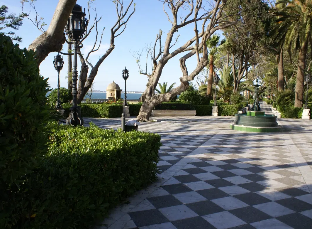 Sailing Tour of Cádiz with historic walk, tapas tasting, artist studio visit, gourmet wine pairing.