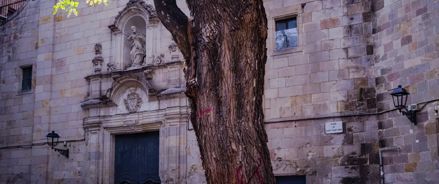 Gothic Quarter Walking Tour: Stories of Roman ruins and Jewish legacy paired with Catalan flavors.