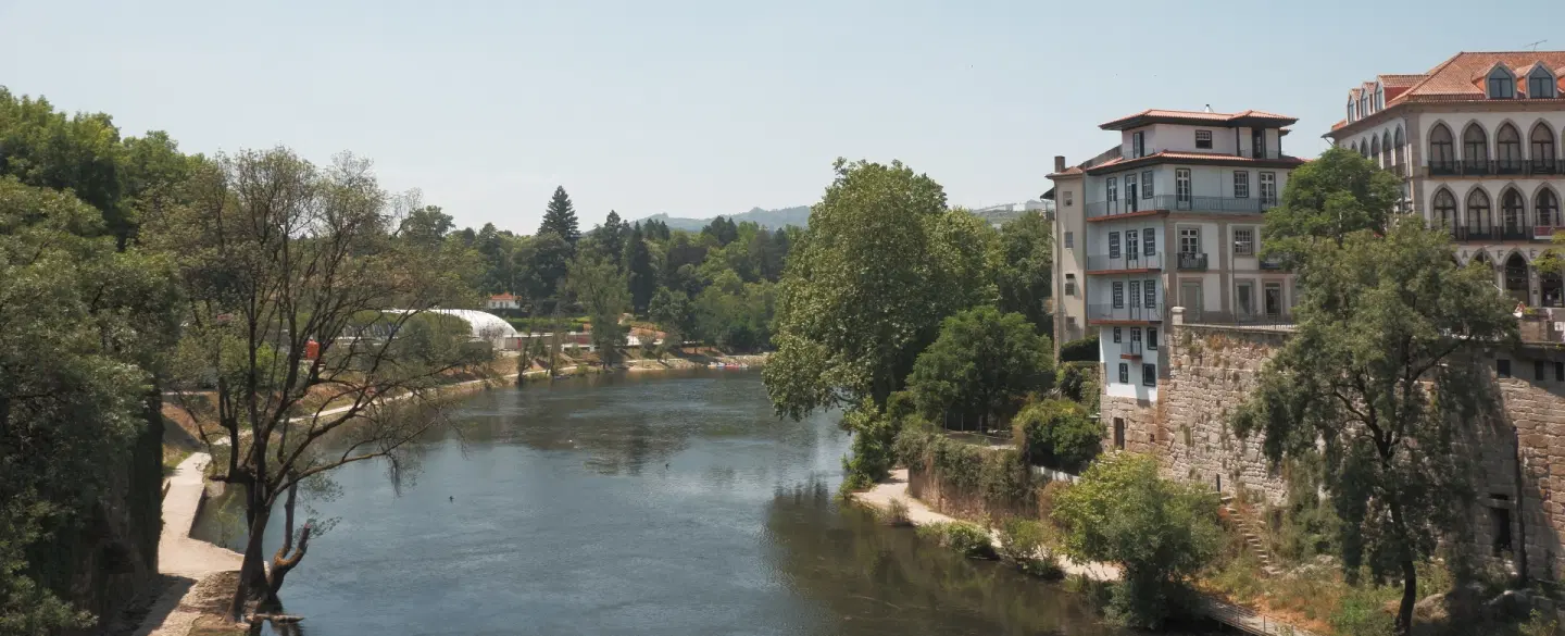Day Trip from Porto to visit Douro Valley vineyard, enjoy gourmet meal and explore Amarante.