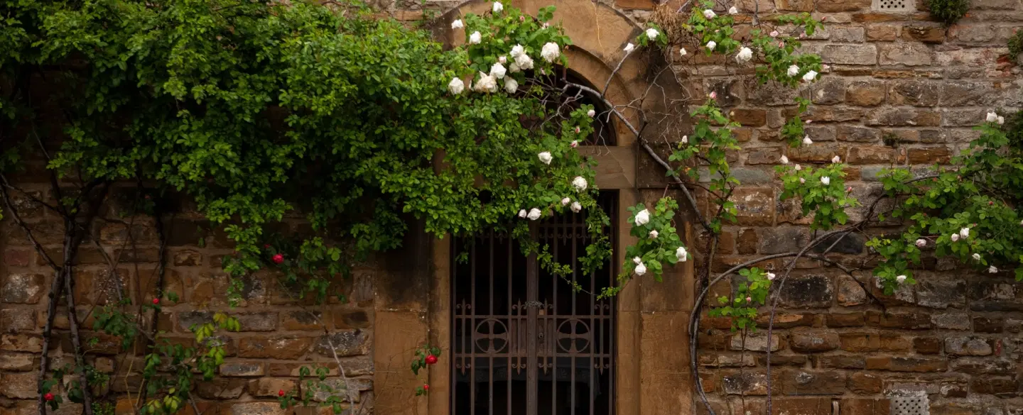 Walking Tour in Florence exploring the rich history, art, and stories of the Porte Sante Cemetery.