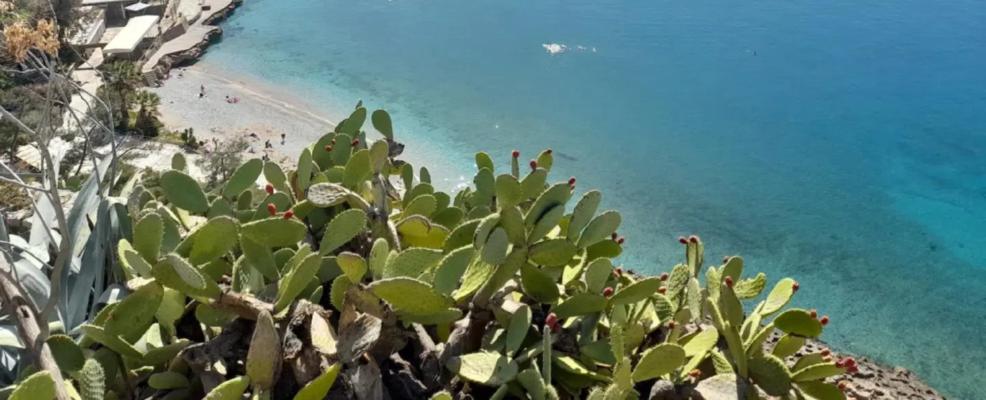 Acronafplia: Steps to Serenity