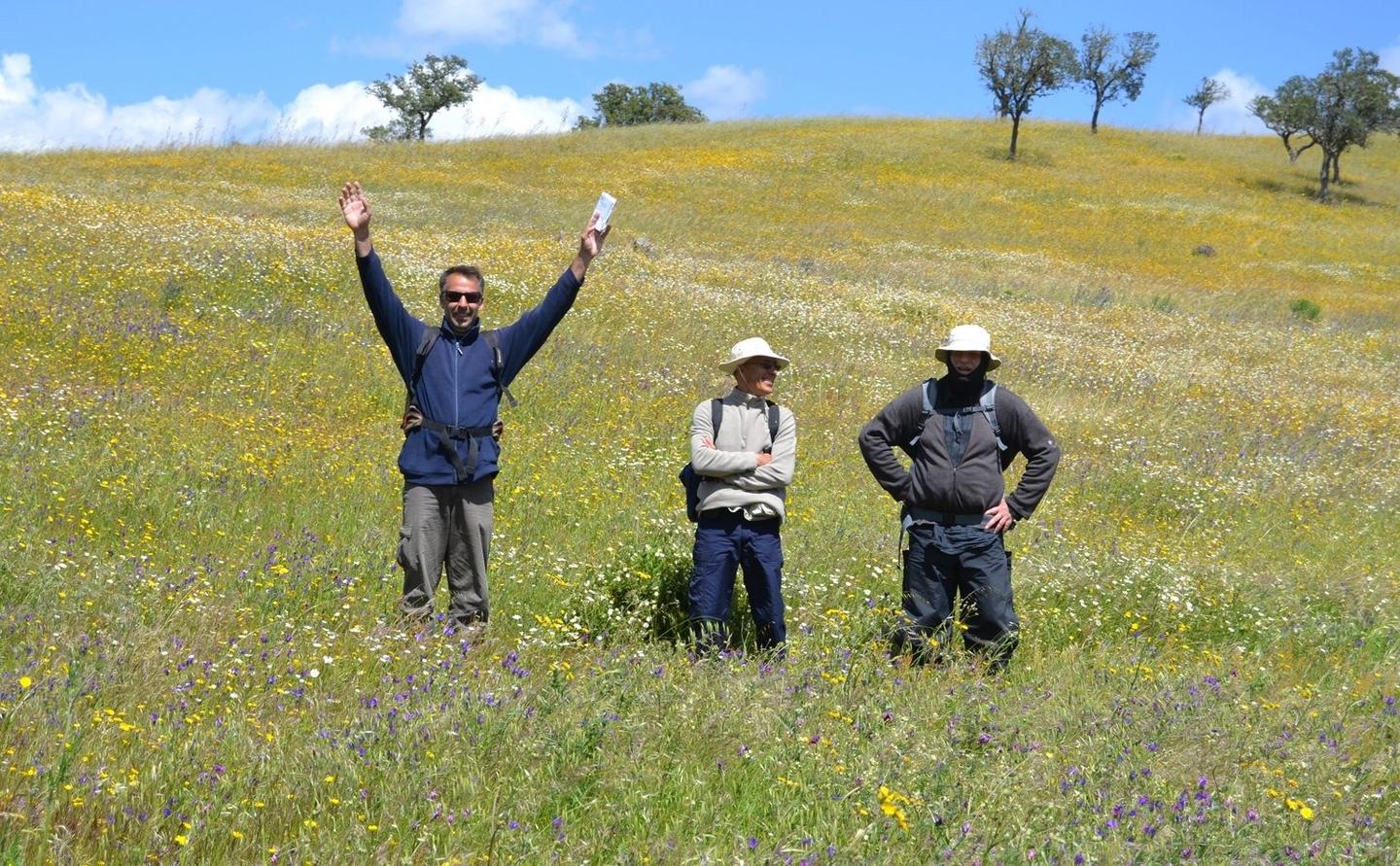 7-day Algarve itinerary of craft, land, cuisine, tradition in Loulé, Alte, Lagos, Monchique, Olhão.