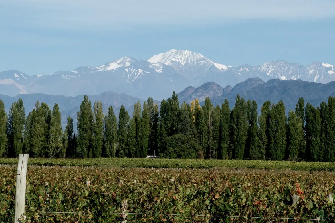 A road trip itinerary across the Andes from Santiago and Valparaíso to Mendoza wine country.