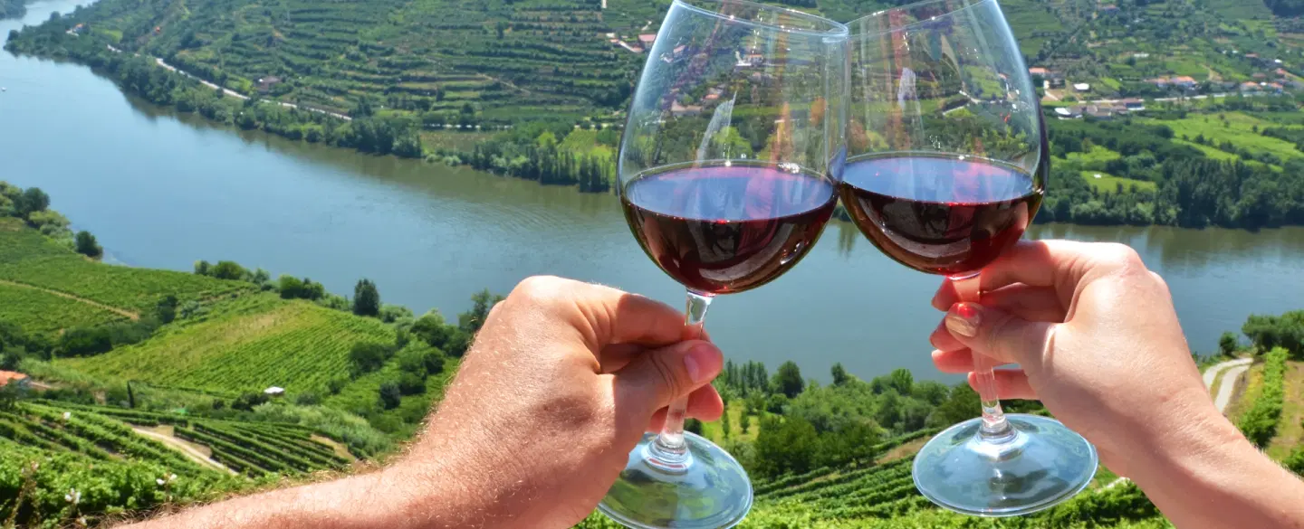 Douro Valley Tour from Porto, including Mateus Palace, honey tasting, vineyard lunch and boat ride.