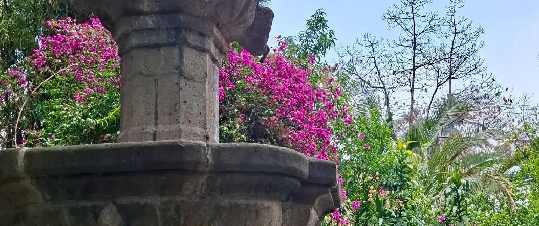 Walking Tour in Mexico City through San Ángel’s flower markets, colonial churches and hidden plazas.