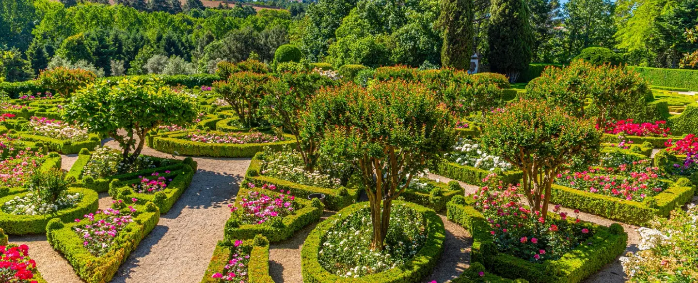 Douro Valley Dinner Tour: After-hours Mateus Palace exclusive visit and dinner inside the estate.