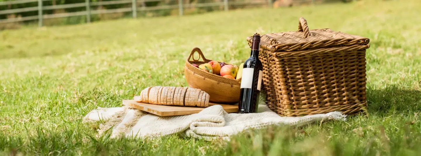 A Picnic at the Château